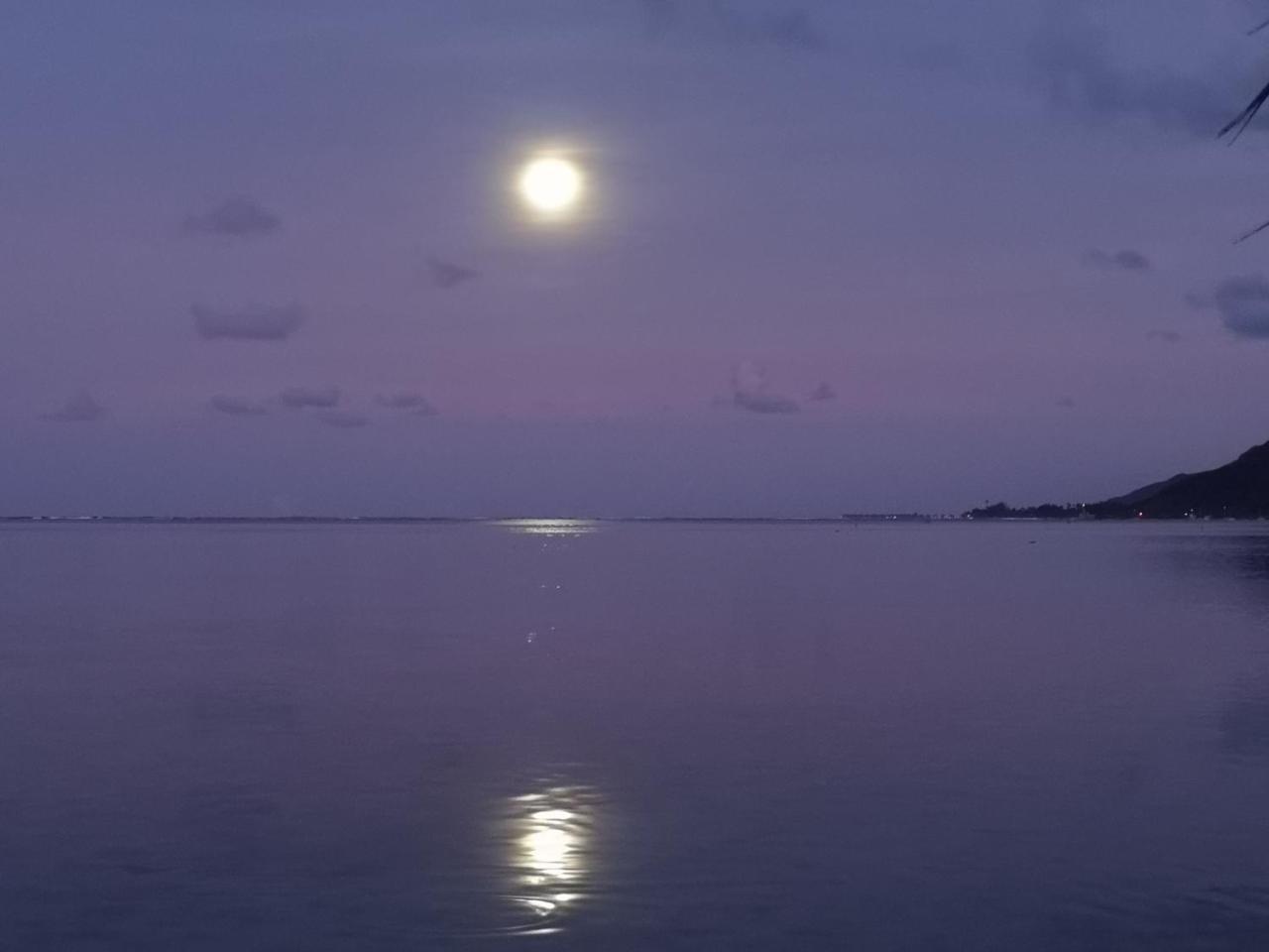 Lagoon Dream Муреа Екстер'єр фото